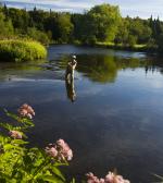Jerry Monkman Ecophotography Washburn Forest on the Upper CT River